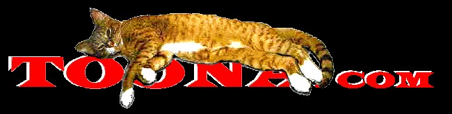 toona2b1.jpg